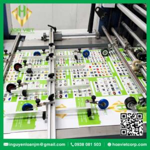 dich vu gia cong in an can mang catalouge brochure hoa viet 12