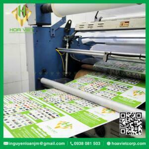dich vu gia cong in an can mang catalouge brochure hoa viet 13