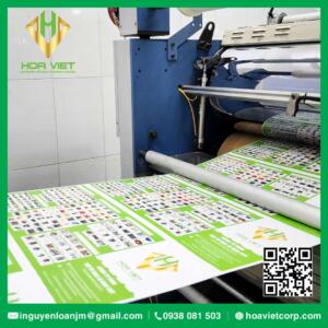 dich vu gia cong in an can mang catalouge brochure hoa viet 14