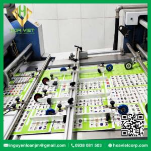 dich vu gia cong in an can mang catalouge brochure hoa viet 2