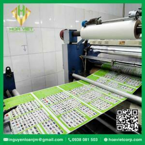 dich vu gia cong in an can mang catalouge brochure hoa viet 5