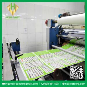 dich vu gia cong in an can mang catalouge brochure hoa viet 6