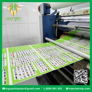 dich vu gia cong in an can mang catalouge brochure hoa viet 7