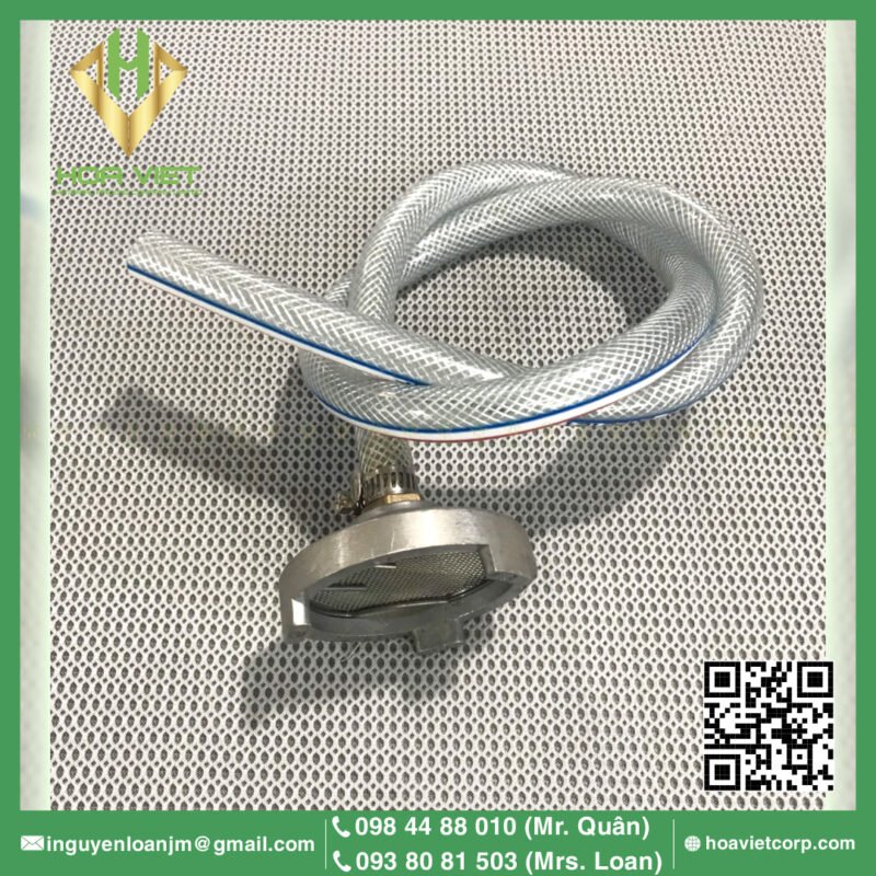 Dau Chan Muc Va Ong Day